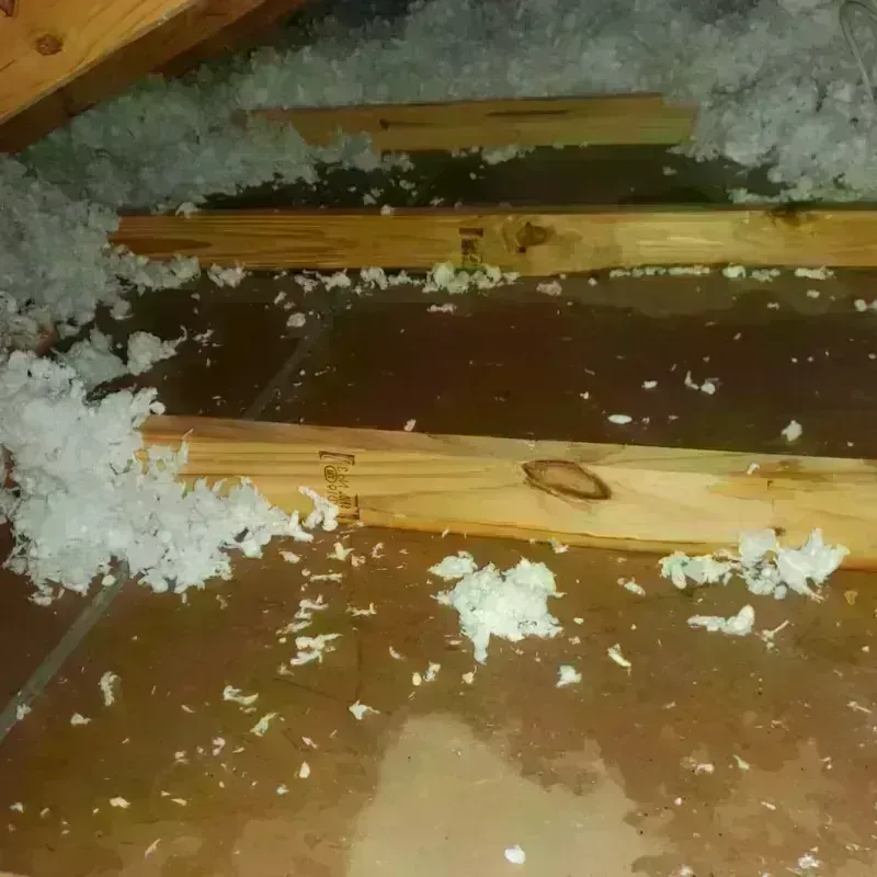 Attic Water Damage in Lytle, TX