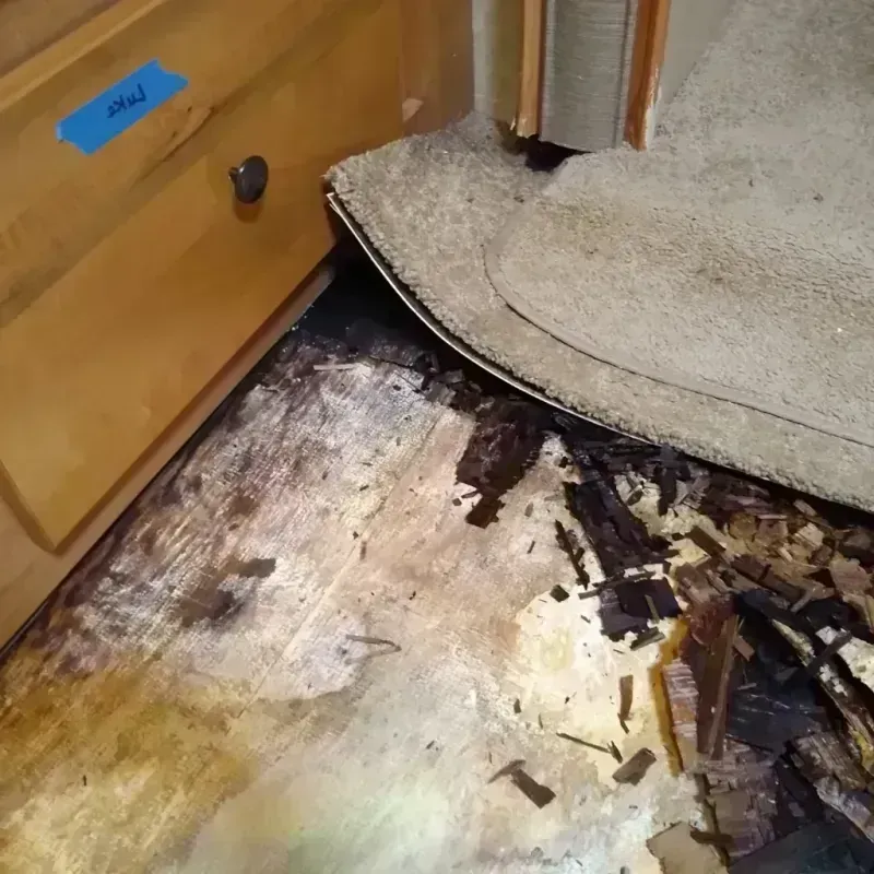 Wood Floor Water Damage in Lytle, TX